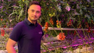 Andrei Mihai Showing Tomatoes at Steiner Greenhouse