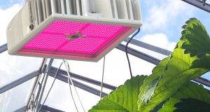 hyperion led grow light