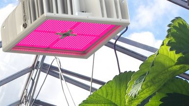 hyperion led grow light