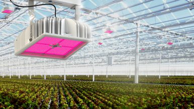 hyperion led grow light