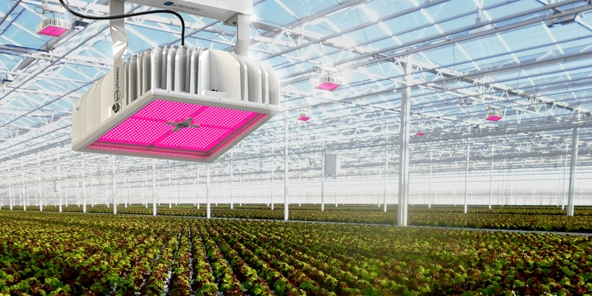 hyperion led grow light