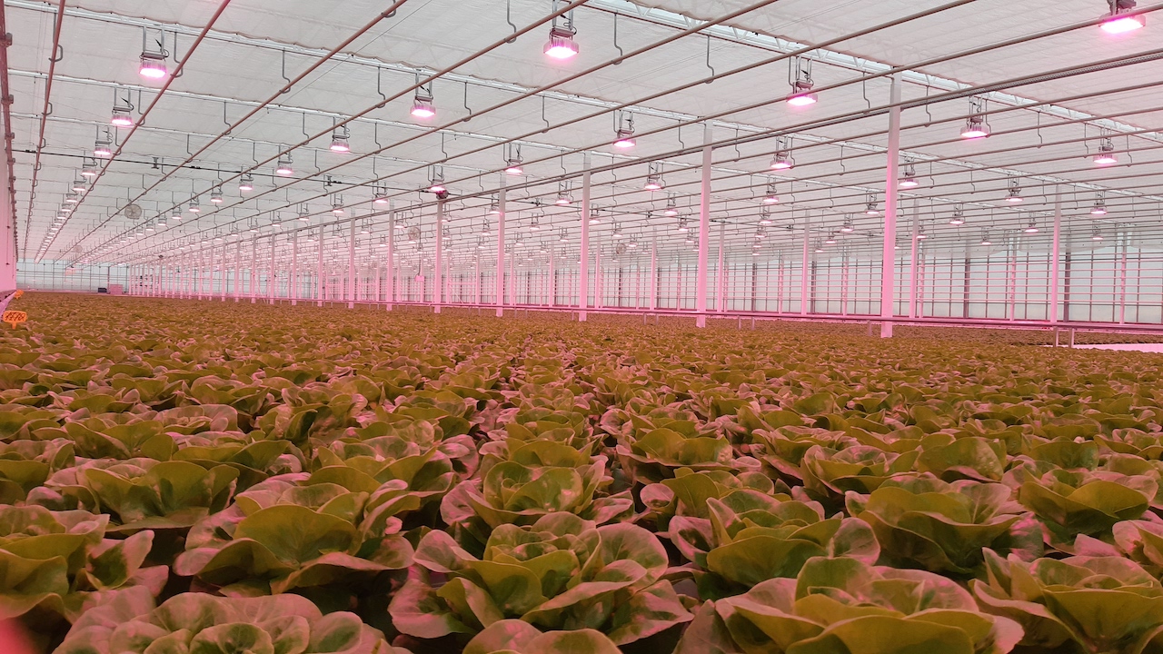 Karpinscy LED Lighting